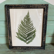 Load image into Gallery viewer, Botanical Single Fern Picture
